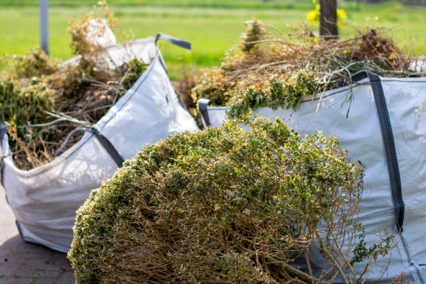 Best Residential Junk Removal  in Stonewood, WV